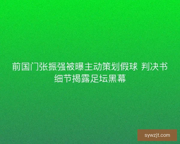 前国门张振强被曝主动策划假球 判决书细节揭露足坛黑幕